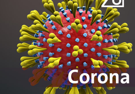 Corona en het Regionaal Archief Zuid-Utrecht - open op afspraak