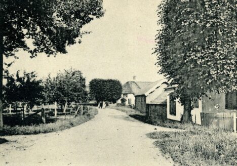Vechten, de weg naar Bunnik. Rechts schuren en boerderij De Prins 1900. Cat.nr. 57334