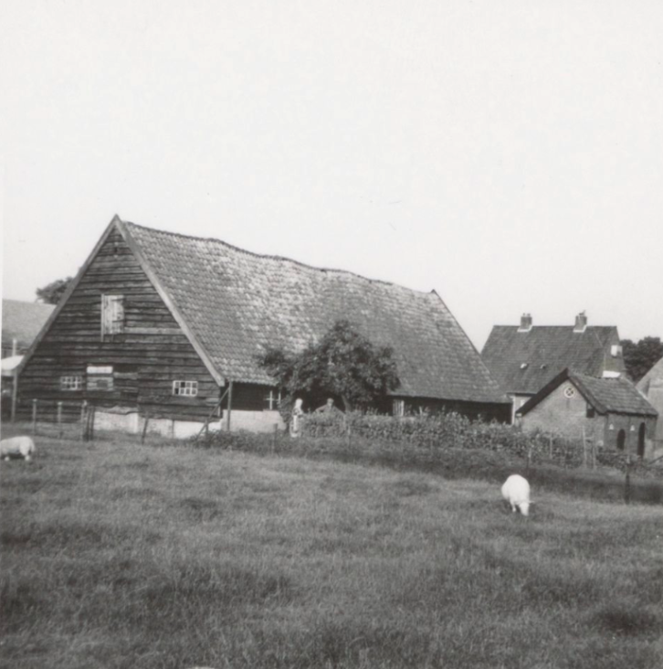 Tabaksschuur met woonhuis aan de Tabakslaan in Amerongen, circa 1970 | RAZU archief 238, catalogusnummer 61495