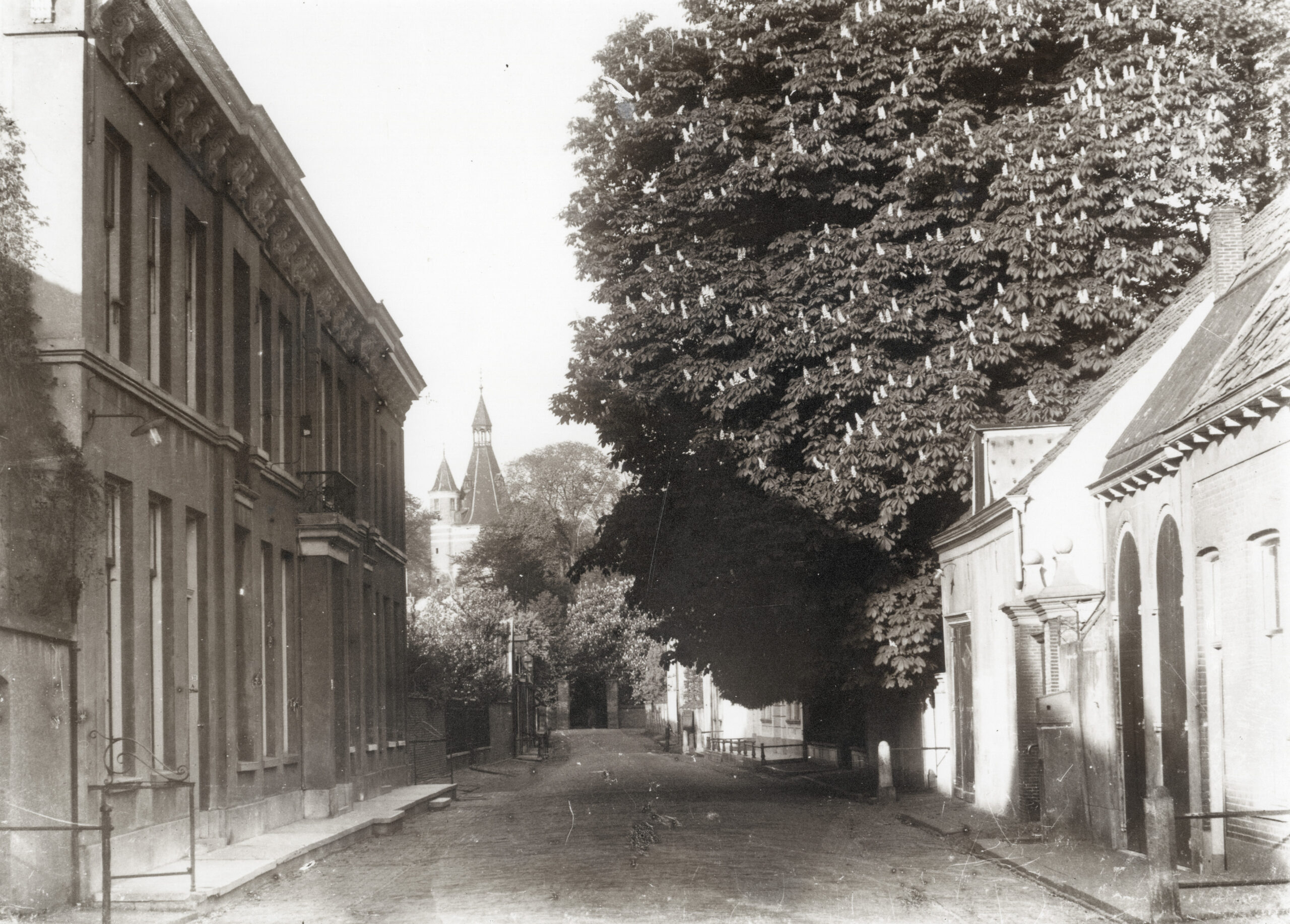 De Muntstraat rond 1910. Van het in 1844-1846 gebouwde huizencomplex links op de foto zijn de twee linkerhuizen (nr. 21 en 23) op Open Monumentendag te bezichtigen. Rechts van de enorme kastanjeboom staan de oude stal, oranjerie en tuinpoort van het notarishuis Muntstraat 36-38, met ervoor een openbare waterpomp. In 1981 werden hier de woonappartementen Muntstraat 32-34 gebouwd met een poort naar het parkeerterrein aan de Mazijk (Het Utrechts Archief cat.nr. 95149). Foto Muntstraat ca. 1905
